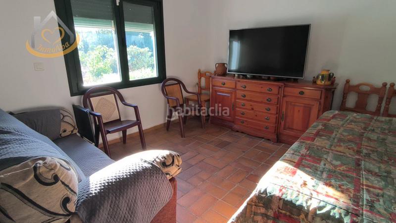 Foto 8e4107ff-0a49-4a5b-98e9-c7cebe4f6b41. Fondo rustico in diseminado fotea 49 in Ayamonte ciudad Ayamonte