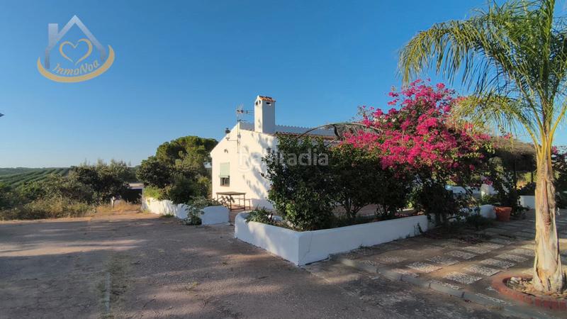 Foto a95f99ff-e132-41df-80e8-bb5d34183c53. Fondo rustico in diseminado fotea 49 in Ayamonte ciudad Ayamonte