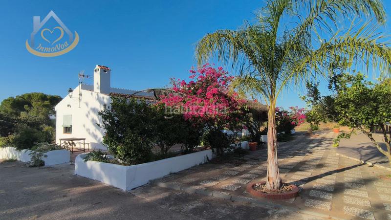 Foto e0f2fbbb-be46-4f6d-944f-5f127f51804d. Fondo rustico in diseminado fotea 49 in Ayamonte ciudad Ayamonte