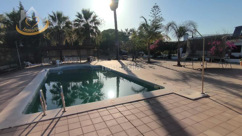 Foto e666175d-7f38-46df-a1c5-36c9c84d1cad. Fondo rustico in diseminado fotea 49 in Ayamonte ciudad Ayamonte