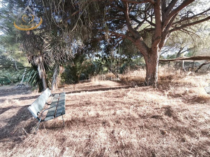 Foto fe543971-4a34-4667-89cd-2e5e183364cf. Fondo rustico in diseminado fotea 49 in Ayamonte ciudad Ayamonte