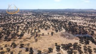 Finca rústica  N/a. Finca rústica en venta en puebla de guzmán (huelva). manantiales