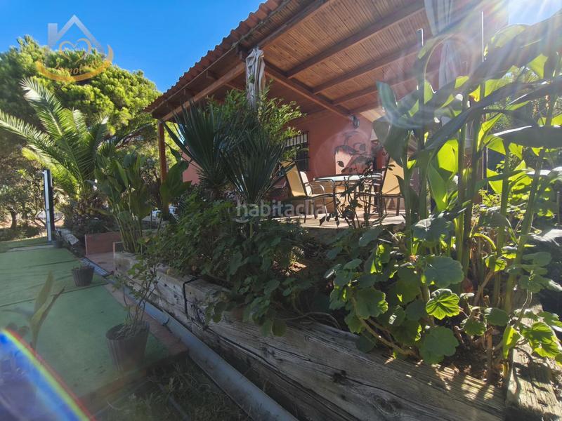 Foto 0b370d4a-8168-44c1-a7bc-e72fd38bc90e. Fondo rustico in solar sector la redondela 10 in Isla Cristina