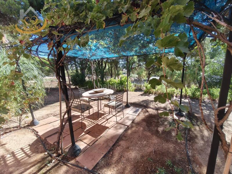 Foto 11fd4c16-3879-40d0-b9ec-fb74bda6d3da. Fondo rustico in solar sector la redondela 10 in Isla Cristina