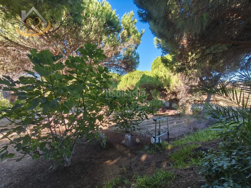 Foto 17984ff7-19a3-43b2-9581-5af420fbb377. Fondo rustico in solar sector la redondela 10 in Isla Cristina