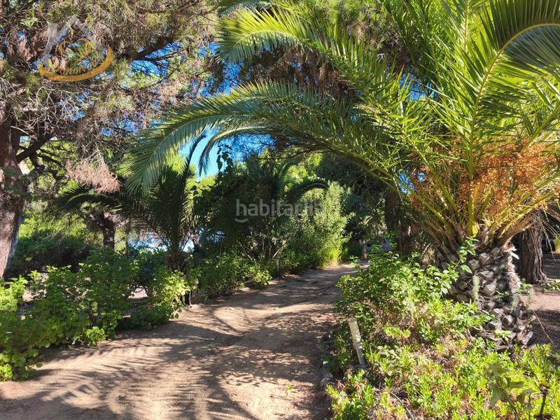 Foto 25e052fb-a4e7-4ad8-a86c-6656c6c384cb. Fondo rustico in solar sector la redondela 10 in Isla Cristina