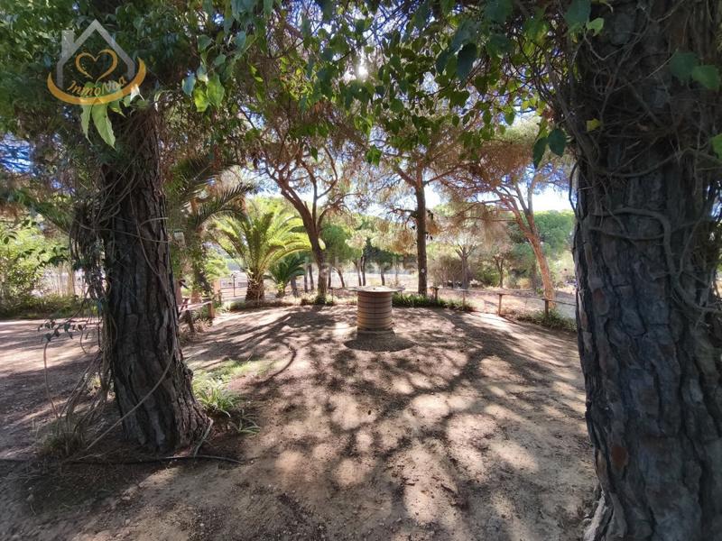 Foto 26d3b9a0-9d6c-4f01-a321-9656e5fc7abb. Fondo rustico in solar sector la redondela 10 in Isla Cristina