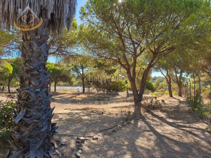 Foto 2e725590-270a-4b70-967a-104f14d0749e. Fondo rustico in solar sector la redondela 10 in Isla Cristina