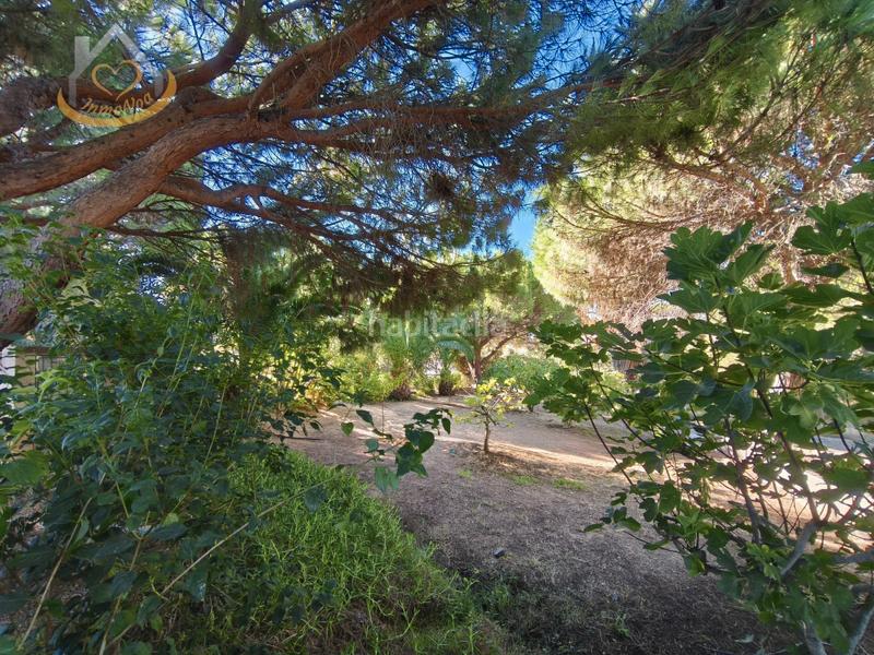 Foto 554a339f-9b95-4d8d-99aa-efc0fa149449. Fondo rustico in solar sector la redondela 10 in Isla Cristina