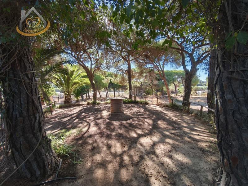 Foto 645df20e-3ac5-430f-8432-37e3a1646f06. Fondo rustico in solar sector la redondela 10 in Isla Cristina