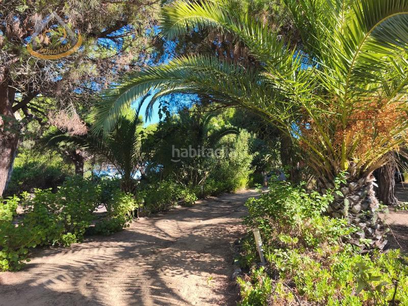 Foto 69f389dc-3db7-46cf-b1cb-2f90ed285155. Fondo rustico in solar sector la redondela 10 in Isla Cristina