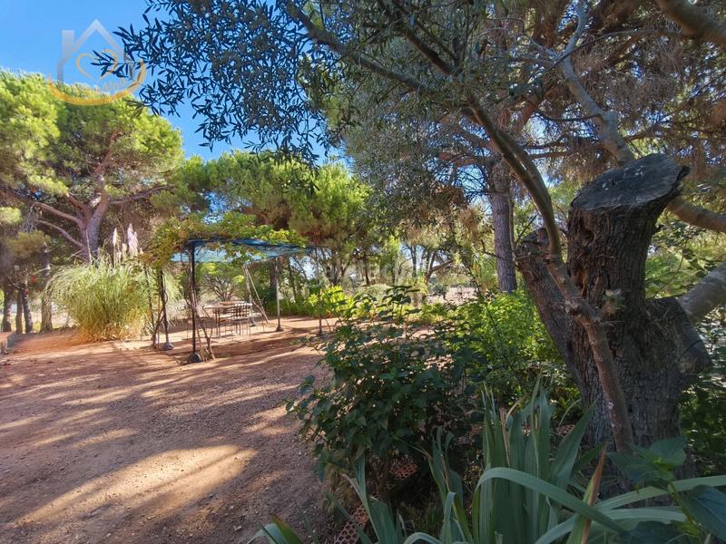 Foto 8a349e11-95b3-4e0f-ba20-6577877baf95. Fondo rustico in solar sector la redondela 10 in Isla Cristina