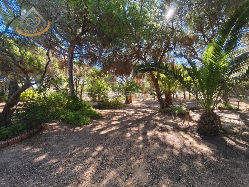 Foto 8b28eba0-f0c4-4d72-b751-a1288f56a128. Fondo rustico in solar sector la redondela 10 in Isla Cristina