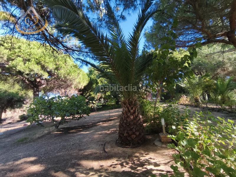 Foto 8b33be94-adaa-48ad-afe5-93823e8787d7. Fondo rustico in solar sector la redondela 10 in Isla Cristina