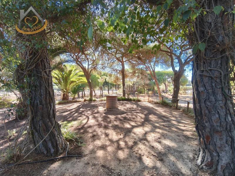 Foto 9325b864-1536-4d57-acda-8ac5abef6023. Fondo rustico in solar sector la redondela 10 in Isla Cristina