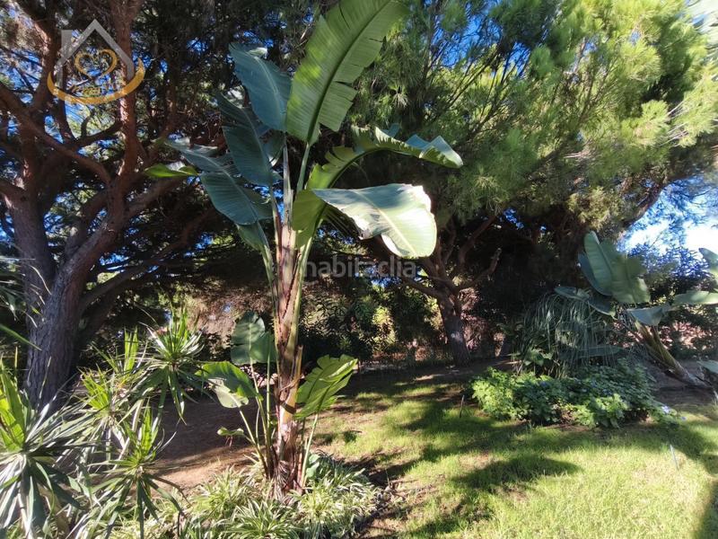 Foto a901169f-073f-4d0d-a9e4-42e7f8ecc862. Fondo rustico in solar sector la redondela 10 in Isla Cristina