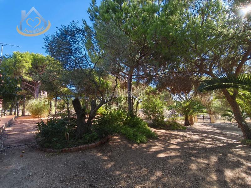 Foto ab203223-0b4f-4e8c-a871-eca2f35d4f28. Fondo rustico in solar sector la redondela 10 in Isla Cristina