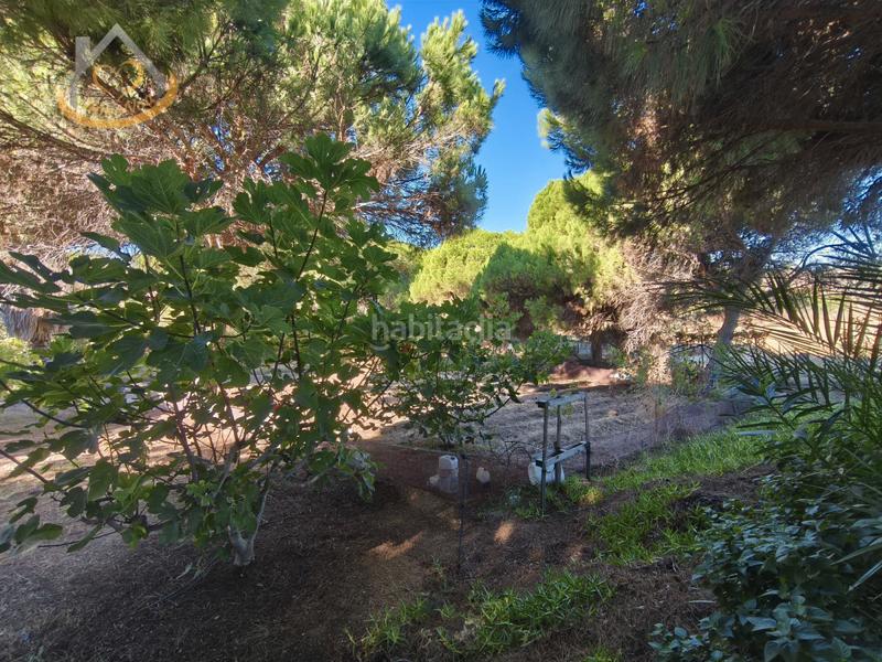 Foto b3fc48d1-f971-4cb9-9760-4c60cb2ae607. Fondo rustico in solar sector la redondela 10 in Isla Cristina