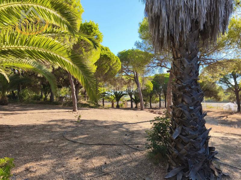 Foto b5aad0c8-bd25-48b8-be8e-1c2859dd686b. Fondo rustico in solar sector la redondela 10 in Isla Cristina