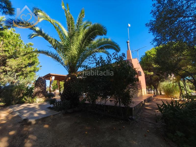 Foto cf2a2e08-c05b-4786-940c-f865b7dbfb52. Fondo rustico in solar sector la redondela 10 in Isla Cristina