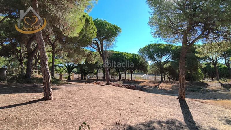 Foto f0d5d9b3-4380-4a0a-b490-160c2d6c4702. Fondo rustico in solar sector la redondela 10 in Isla Cristina