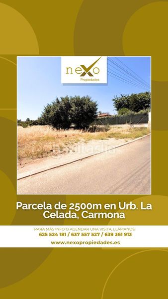 Foto d94583d7-675b-456a-884e-06b04d4e1066. Terreny residencial a Carmona