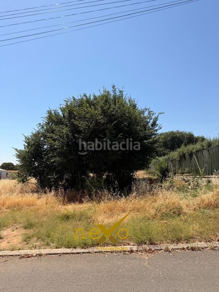 Foto e952a6de-6c54-4ae7-906d-995e6136c3e5. Terreny residencial a Carmona