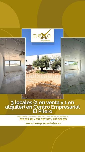 Foto f4c5202c-aab2-49ff-9661-d0b8977ce4d0. Oficina a Carmona