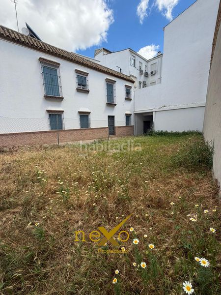 Foto 6a975e8f-8a70-461f-88b5-1f4240301d01. Terreny residencial a Carmona