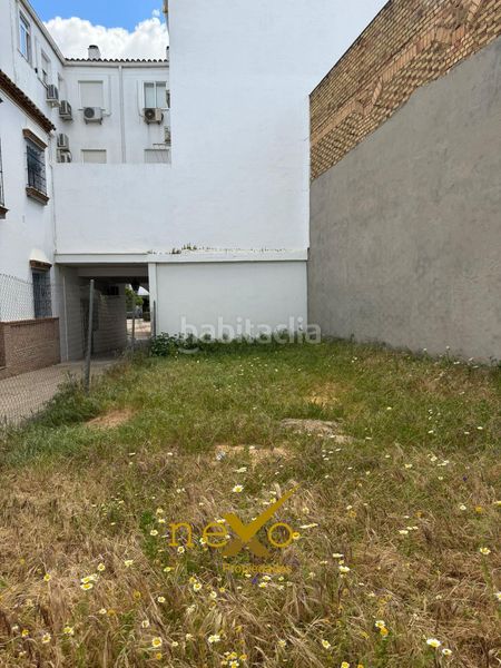 Foto 7eee5531-2159-49a6-b122-c8fe23f3fce3. Terreny residencial a Carmona