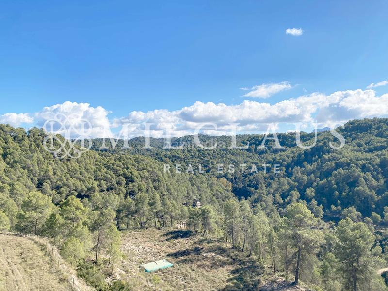 Foto d101b903-8481-4140-91ca-0691b64bd7c9. Masia a desconocido 10 a Talamanca