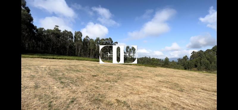 Foto 69117e32-fbdc-4257-84bf-d1529e3dcdc1. Fondo rustico in lugar o galleiro 10 in Pazos de Borbén