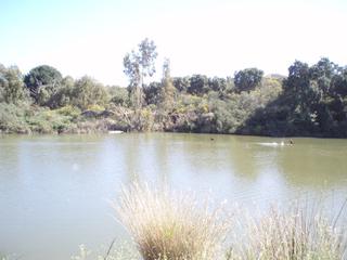 Terreny residencial a Altos de Estepona