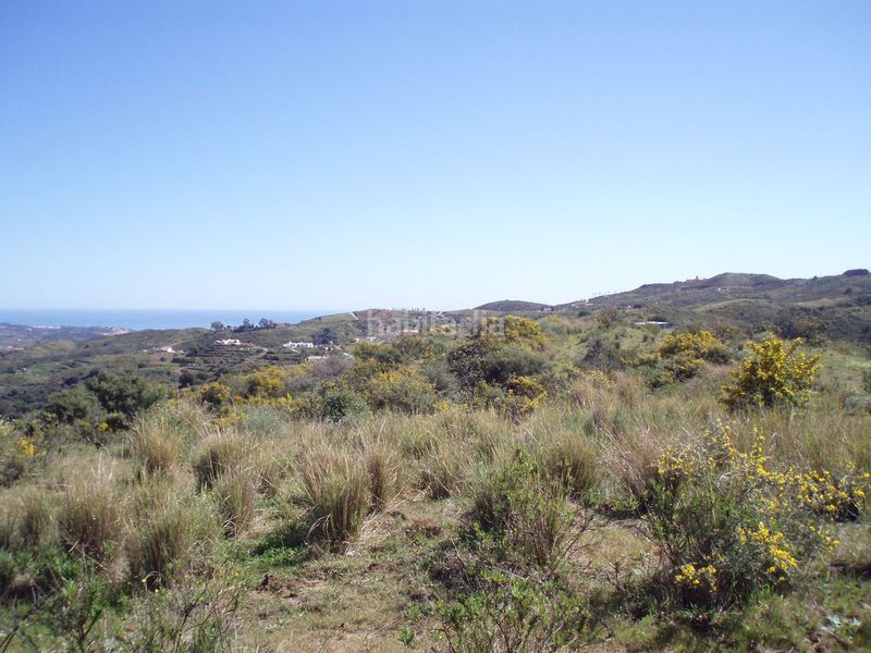 Foto 8070e3a7-92df-4a7c-a241-0a7604052c9f. Terreny residencial a la cala Mijas Mijas