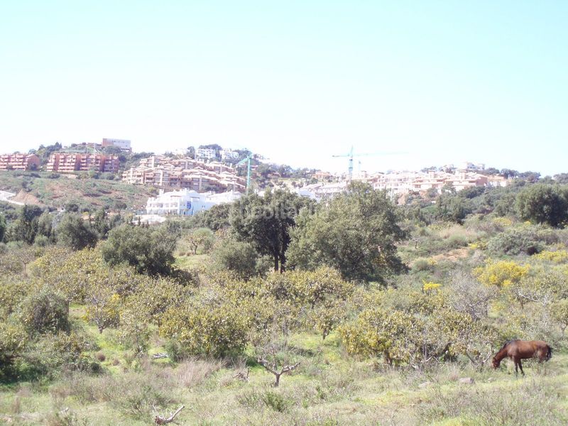 Foto eab4a7d7-cb3f-4f88-9f1d-053c05130cc2. Terreny residencial a la cala Mijas Mijas