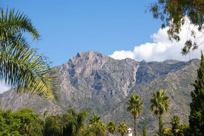 Foto c3f0bc38-0375-490d-834a-8d016a57e3bb. Xalet amb aparcament piscina a La Merced Marbella