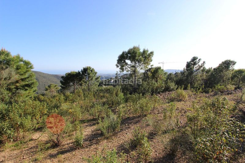 Foto 3a6c4e58-a22c-40e2-a241-22948c22ba9e. Terreny residencial a Montemayor - Marbella Club Benahavís