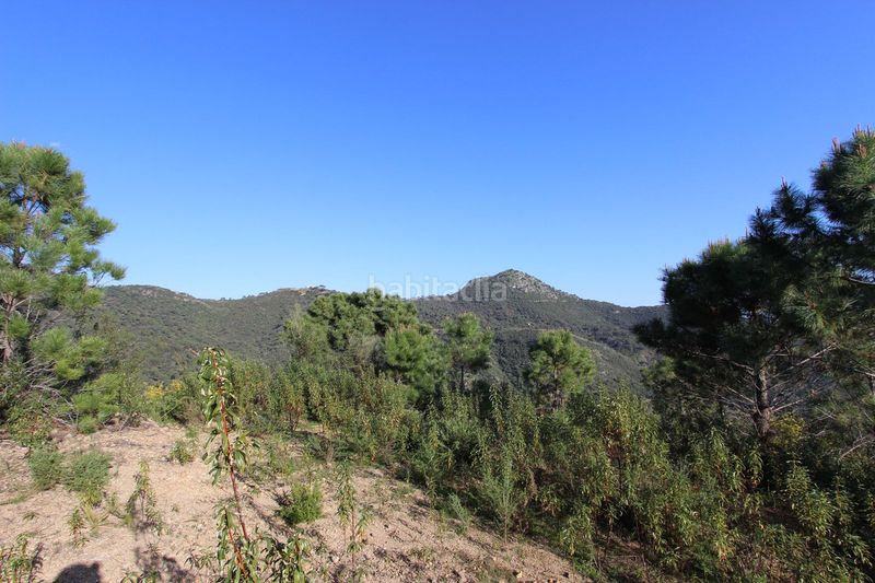 Foto 4b219697-8ff5-43b5-97ce-8bebf802ecb9. Terreny residencial a Montemayor - Marbella Club Benahavís