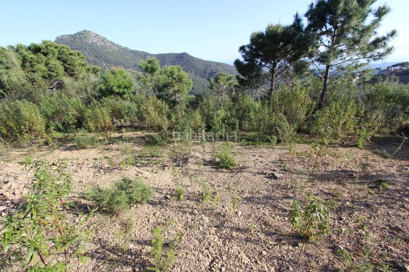 Foto 82628a3b-f070-41d5-9780-43bcb69c8a88. Terreny residencial a Montemayor - Marbella Club Benahavís