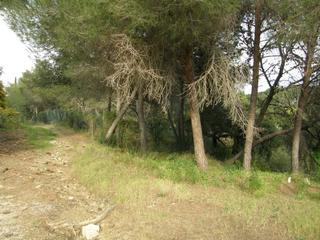 Residential Plot in Hacienda Las Chapas