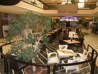 Local Comercial en Puerto Banús
