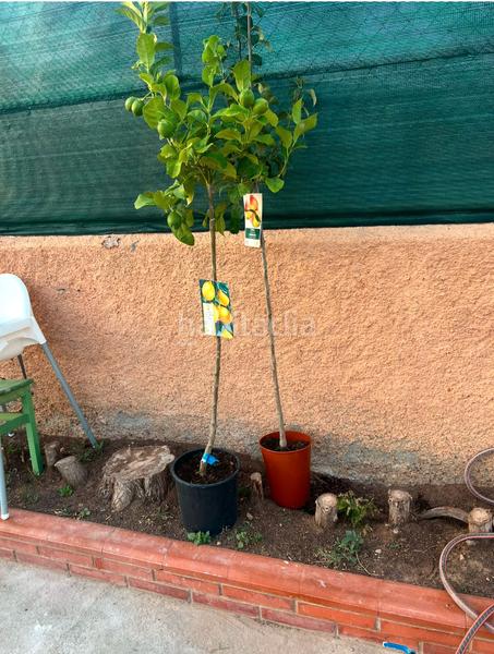 Foto 1dccc656-0cfb-448e-b8a9-b0e6fd502996. Xalet amb xemeneia aparcament a Vilamarxant