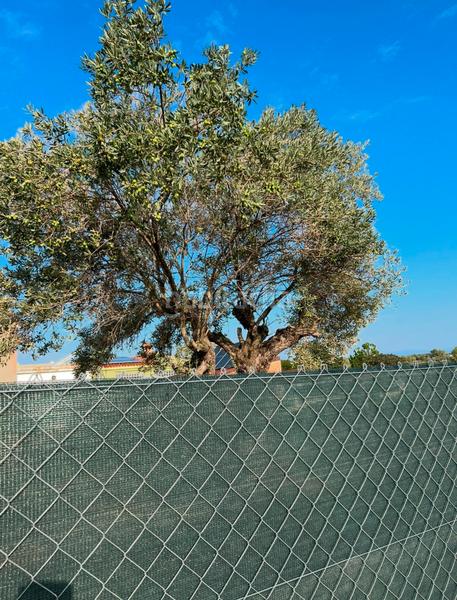 Foto 9703ba57-af9c-49bb-8f80-e9dc908016d7. Xalet amb xemeneia aparcament a Vilamarxant