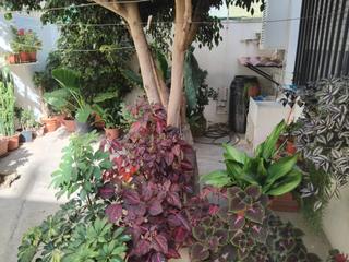 House  Carrer santa anna