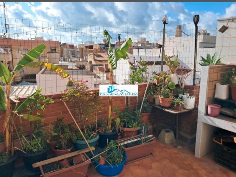 Foto 2c4cff7e-0273-4110-a029-a0d4d9436aad. Pis a Catarroja