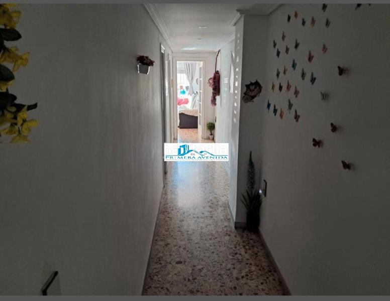 Foto 58d409cd-ae23-4897-8535-4763edd7a9fe. Pis a Catarroja