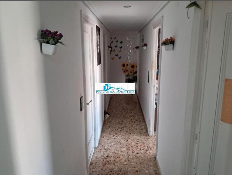 Foto e7077ce2-49ed-4b58-a05f-d6f4b58f155b. Pis a Catarroja