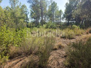 Foto 13df6d6e-751e-4419-9577-17098ed9f303. Finca rústica a Cumbres de Calicanto Torrent