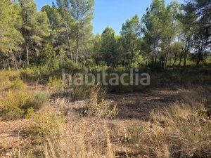 Foto 3da9d8b6-3f30-41fc-9eb4-e42e2628cd96. Finca rústica a Cumbres de Calicanto Torrent