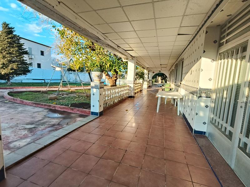 Foto 5754a560-d8f0-4163-9b20-ca0d3357177b. Chalet ref_v108. chalet les basses palma de gandia en Palma de Gandía